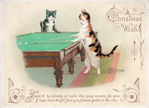 Cats Poster Print Collection: Two cats playing billiards on a Christmas card