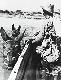 Ww 2 Collection: Chindits crossing the Great Chindwin River, Burma
