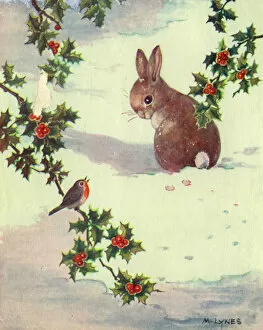 Robins Framed Print Collection: Christmas card, Rabbit and robin