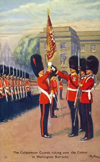 Bearskin Collection: The Coldstream Guards taking over the Colour