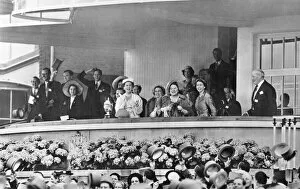 Queen Elizabeth II Collection: Coronation 1953, the royal box at Ascot