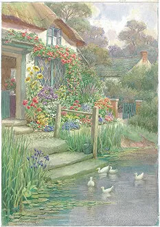 The J Salmon Archive Collection: Cotttage with purple iris, lillies, sunflowers etc