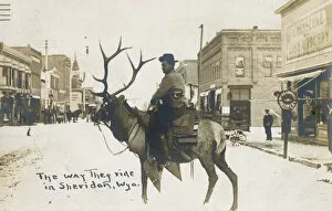 Shop Collection: Cowboy riding elk, Sheridan, Wyoming, USA