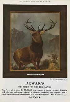 Related Images Cushion Collection: Dewars advert - The Monarch of the Glen