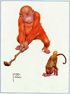 Orang Utan Collection: Drive Off The Missing Links, by Lawson Wood