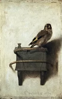 Posters Canvas Print Collection: FABRITIUS, Carel (1622-1654). The Goldfinch. ca