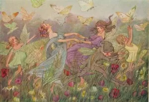 Butter Fly Collection: Fairies by Hilda Miller