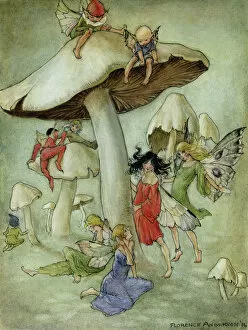 Toadstool Collection: Fairies and toadstools