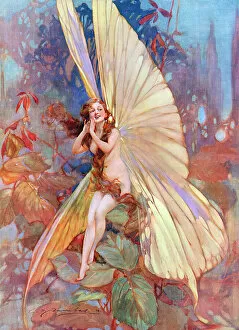 Gorgeous Collection: The Fairy of Flight by William Barribal