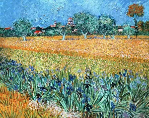 Impressionist paintings Pillow Collection: Field with Flowers near Arles by Van Gogh