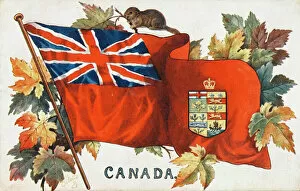 Canadian Collection: Flag of Canada