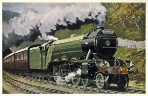 Trains Canvas Print Collection: The Flying Scotsman