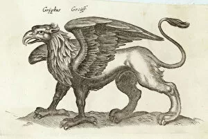 Lion Poster Print Collection: Folklore / Gryphon