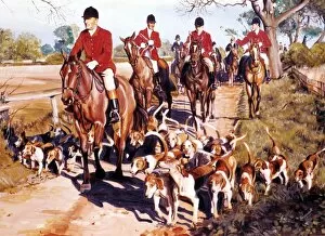 Red Fox Collection: Fox hunting - riders and their dogs