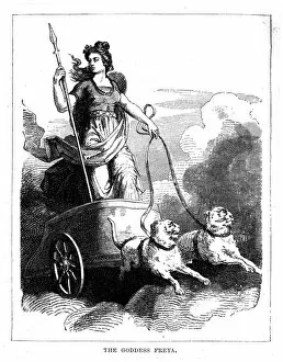 Related Images Fine Art Print Collection: Freya in her Chariot