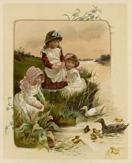 Children Poster Print Collection: GIRLS WATCH DUCKS