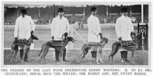 Greyhound Collection: Four Greyhound Derby winners