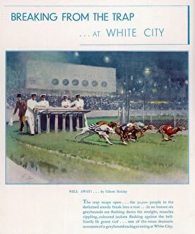 Fine Art Pillow Collection: Greyhound Racing at White City