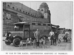 Greyhound Collection: Greyhounds arriving at Wembley by car