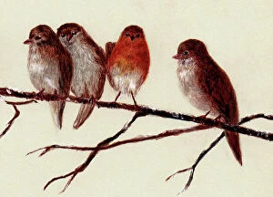 Robins Mouse Mat Collection: Hand painted illustration of robins by an unknown artist