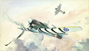 The J Salmon Archive Collection Premium Framed Print Collection: Hawker Typhoon