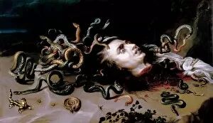Peter Paul Rubens Fine Art Print Collection: The Head of Medusa
