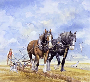 Greensmith Collection: Horses pulling the plough