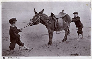 New Images from the Grenville Collins Collection Mouse Mat Collection: Immovable - 2 young boys fail to get a beach donkey to move