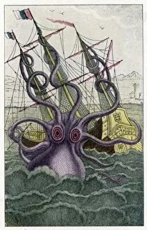 Sailing Collection: Kraken Attacks a Ship
