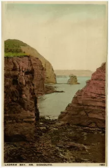 Rock Collection: Ladram Bay near Sidmouth, Devon