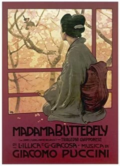 Asia Pillow Collection: Madame Butterfly