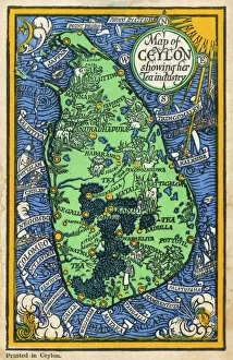 Land Collection: Map of Ceylon showing tea industry plantations