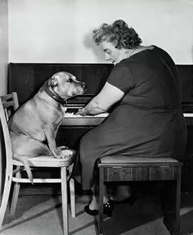 Dogs Pillow Collection: Mrs Mills, celebrity pianist, with dog