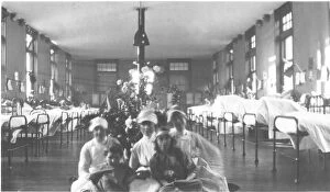 Nursing Canvas Print Collection: Nurses and patients in ward