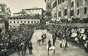 Racing Collection: The Palio, Siena, Italy