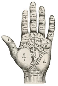 Fingers Collection: Palmistry map of the hand