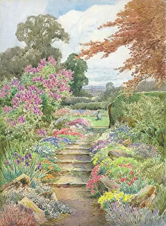 The J Salmon Archive Collection: Path with flower borders on either side and trees
