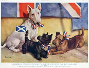 Royal Scots Greys Jigsaw Puzzle Collection: Patriotic dogs