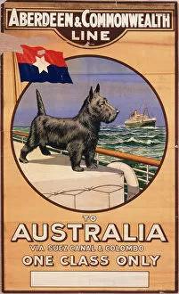 Related Images Framed Print Collection: Poster for Aberdeen & Commonwealth Line to Australia