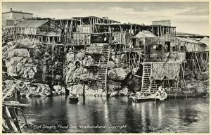 Elevated Collection: Pouch Cove, Newfoundland - Fishing Stages