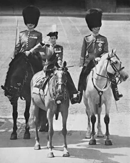 Grenadier Pillow Collection: The Queen salutes on horseback