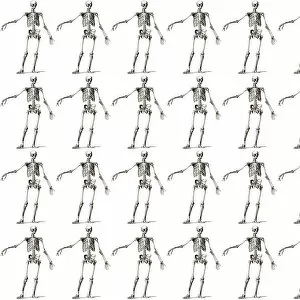 Wallpapers Collection: Repeating Pattern - Skeletons