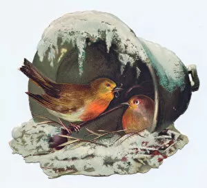 David Evans Collection: Robins nesting on a bell-shaped Christmas card