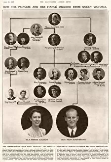 Queen Elizabeth II Metal Print Collection: Royal Wedding 1947 - family tree
