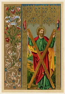 Mary Butler Canvas Print Collection: Saint Andrew (Butler)