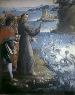 Pichincha Collection: Saint Anthony of Padua preaching to the fishes
