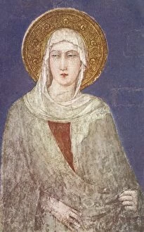 Clare Collection: Saint Clare of Assisi