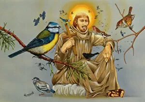 Pigeon Collection: Saint Francis of Assisi