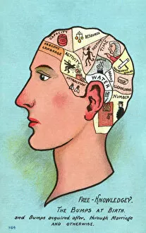 Free Collection: Satire on Phrenology