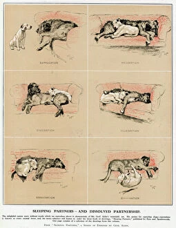 Wolfhound Collection: Sleeping Partners and Dissolved Partnership, Cecil Aldin